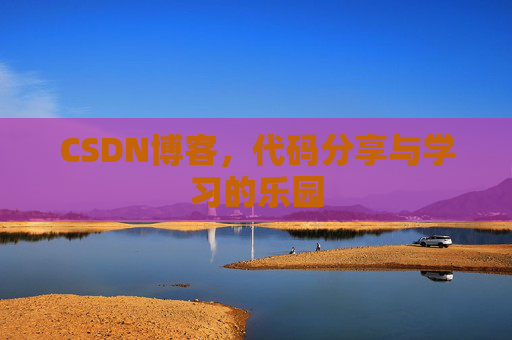 CSDN博客，代码分享与学习的乐园